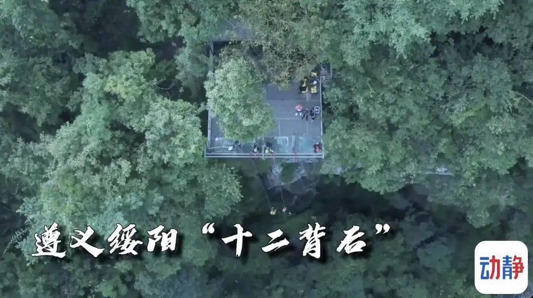 最后生还者2